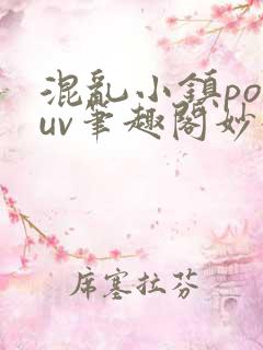 混乱小镇popuv笔趣阁妙妙