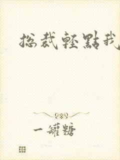 总裁轻点我怕疼