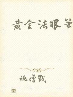 黄金法眼笔趣阁