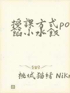 授课方式po肉馅小水饺