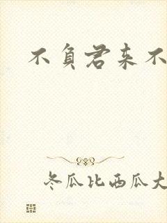 不负君来不负清