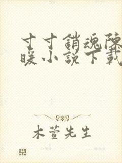 寸寸销魂陈聪王暖小说下载