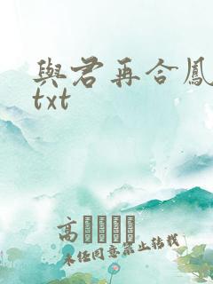 与君再合凤求凰txt