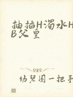 抽插H浊水H嫩B父皇