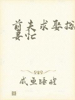 前夫求娶总裁追妻忙