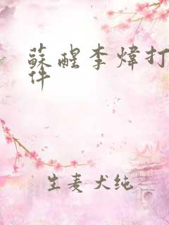 苏醒李炜打架事件