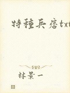 特种兵痞txt