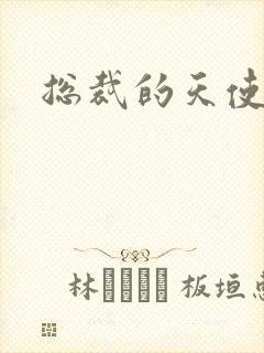 总裁的天使恋人