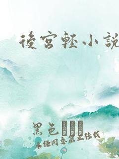 后宫轻小说