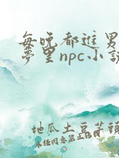 每晚都进男神的梦里npc小说