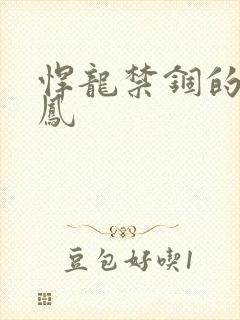 悍龙禁锢的小野凤