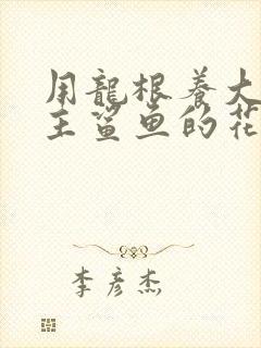 用龙根养大的公主鲨鱼的花