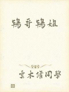 鸨哥鸨姐