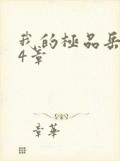 我的极品岳坶34章