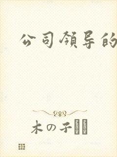 公司领导的老婆