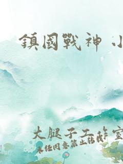 镇国战神 小说