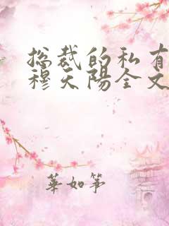 总裁的私有宝贝穆天阳全文阅读