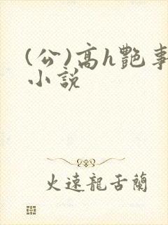 (公)高h艳事小说