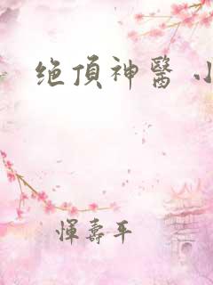 绝顶神医 小说