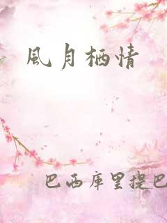 风月栖情