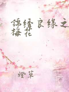 锦绣良缘之驿寄梅花