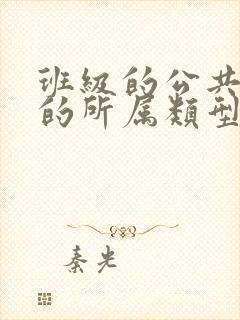 班级的公共小0的所属类型