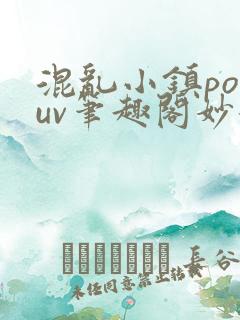 混乱小镇popuv笔趣阁妙妙