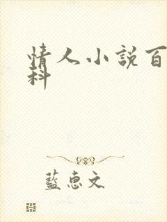 情人小说百度百科