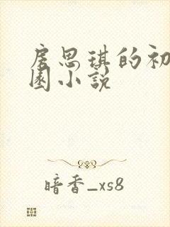 房思琪的初恋乐园小说