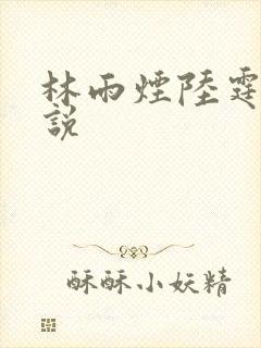 林雨烟陆霆琛小说