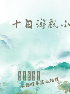 十日游戏小说
