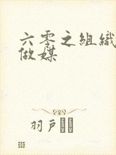 六零之组织给我做媒