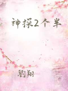 神探2个半