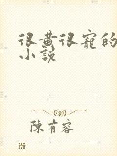 很黄很宠的总裁小说