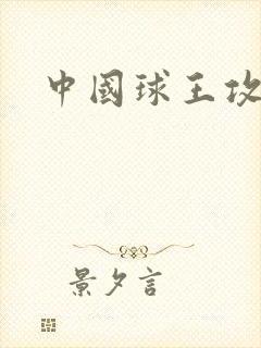 中国球王攻略