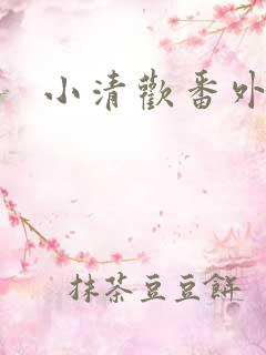 小清欢番外