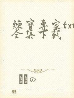 炼宝专家txt全集下载