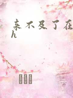 来不及了在车ch