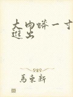 大肉蟒一寸一寸进出