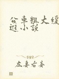 公车粗大缓缓挤进小说