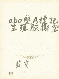 abo双A标记生殖腔撕裂