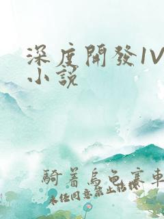 深度开发1V3小说