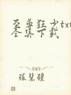 至尊狂少txt全集下载