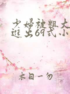 少妇被粗大猛烈进出69式小说