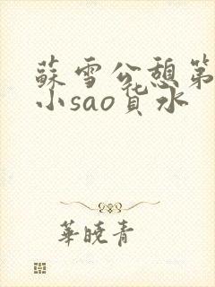 苏雪公憩第一章小sao货水