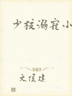 少校溺宠小小妻