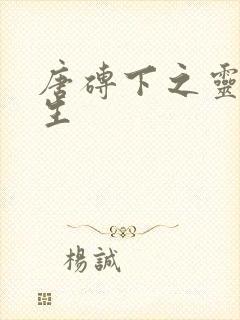 唐砖下之灵域双生