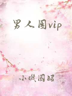 男人团vip