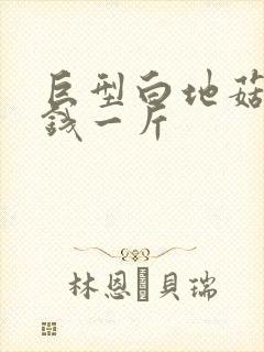 巨型白地菇多少钱一斤