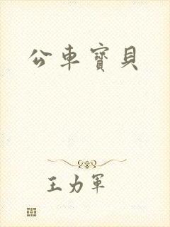 公车宝贝